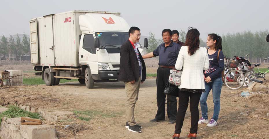 【用實際行動 解決百姓韭菜滯銷難題】